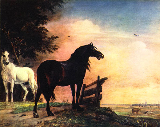 Pferde auf der Weide
