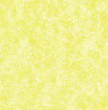 BG Quadro