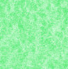 BG Quadro